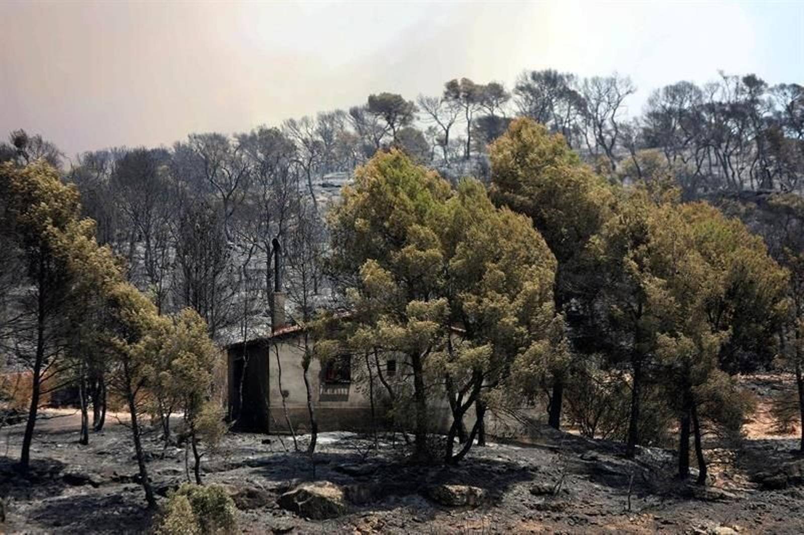 El incendio forestal que quema desde la tarde de ayer en varios términos municipales de la comarca tarraconense de Ribera d'Ebre sigue descontrolado