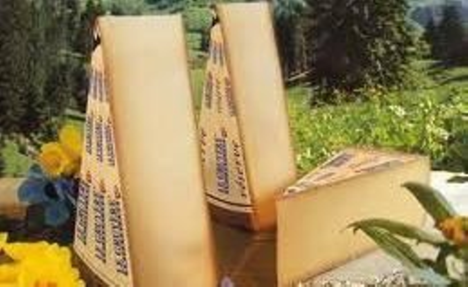 En la imagen, varios trozos de queso.