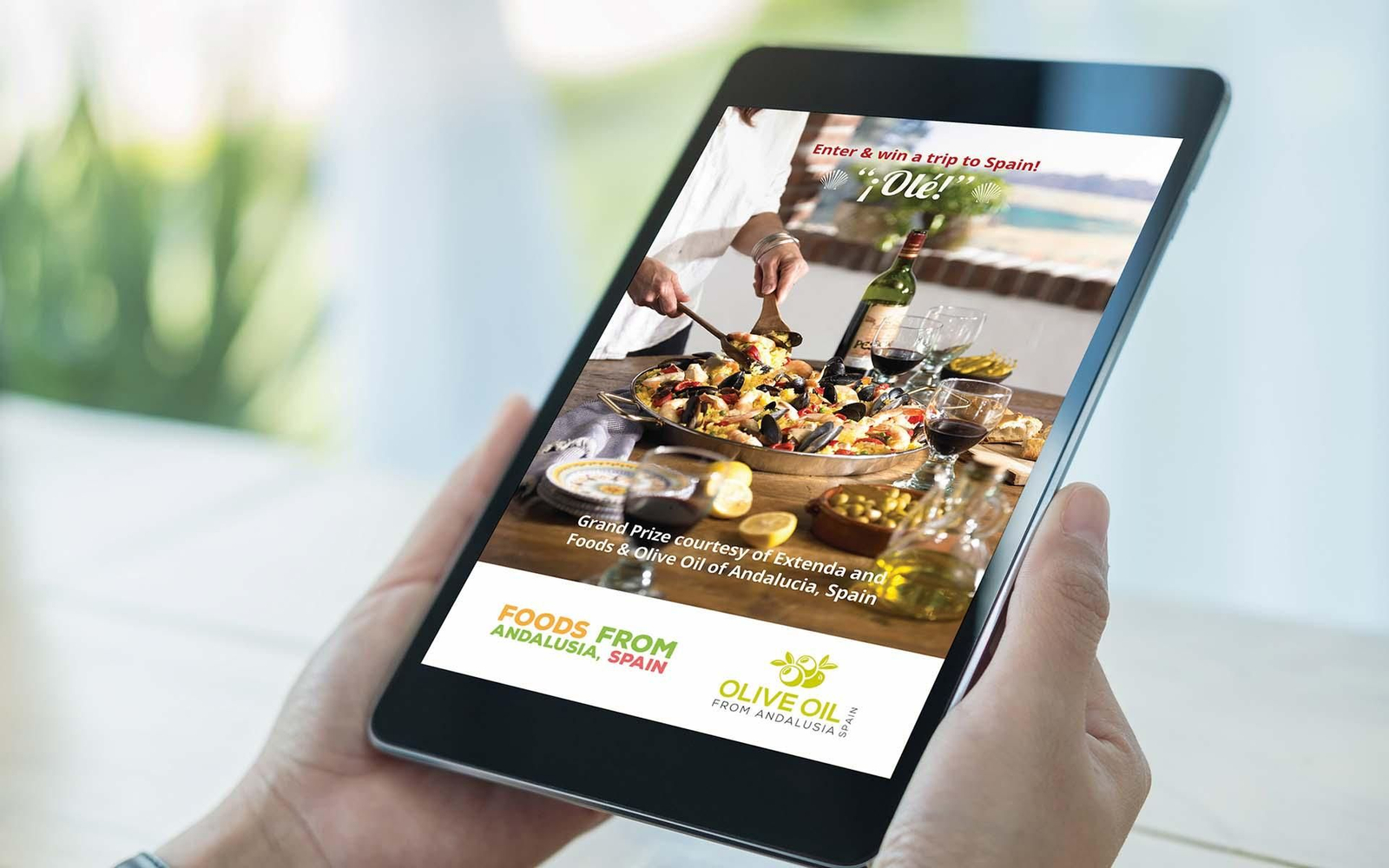 Andalucía Extenda Estados Unidos web