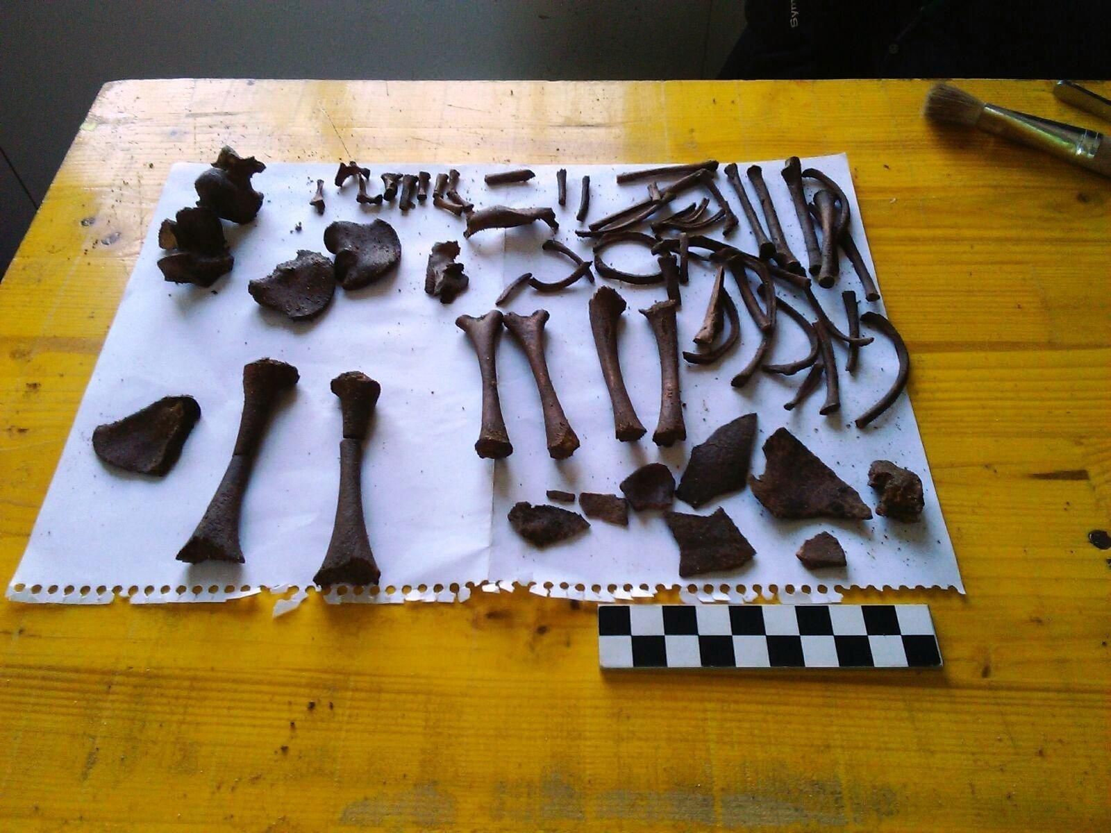 Arqueólogos encuentran en A Lanzada más restos de niños