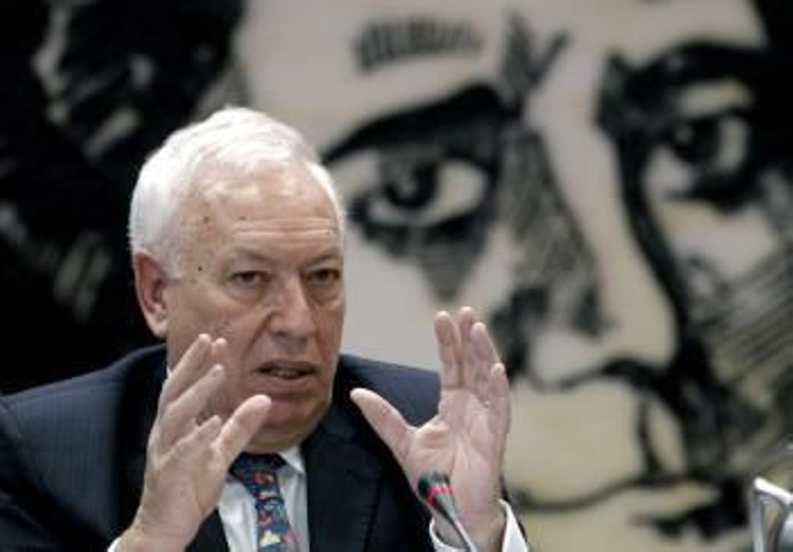 El ministro de Asuntos Exteriores, José Manuel García Margallo (Foto: EFE)