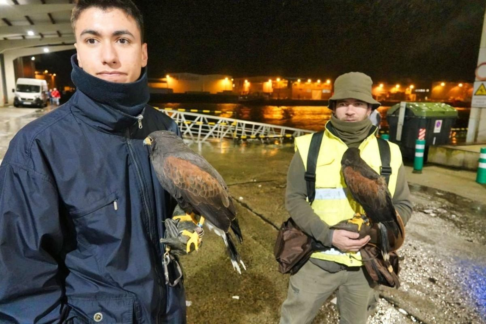 Daniel e Iván, en O Berbés con sus águilas “Bruja" y “Fraga”.