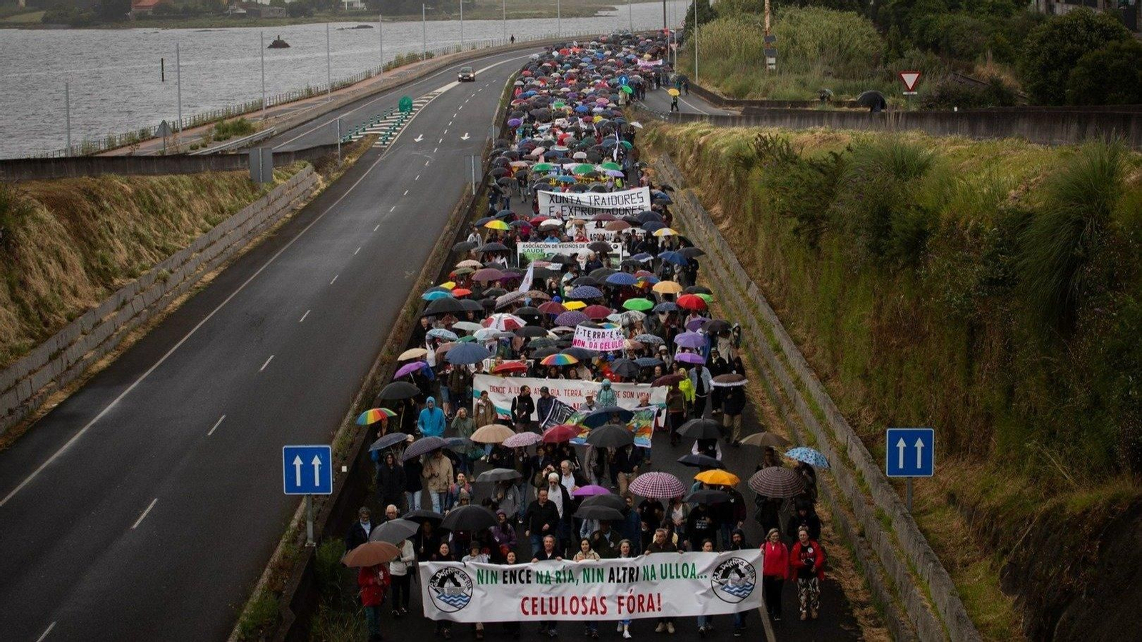 Manifestación contra las empresas de celulosa Altri y Ence en Pontevedra. // E.P.