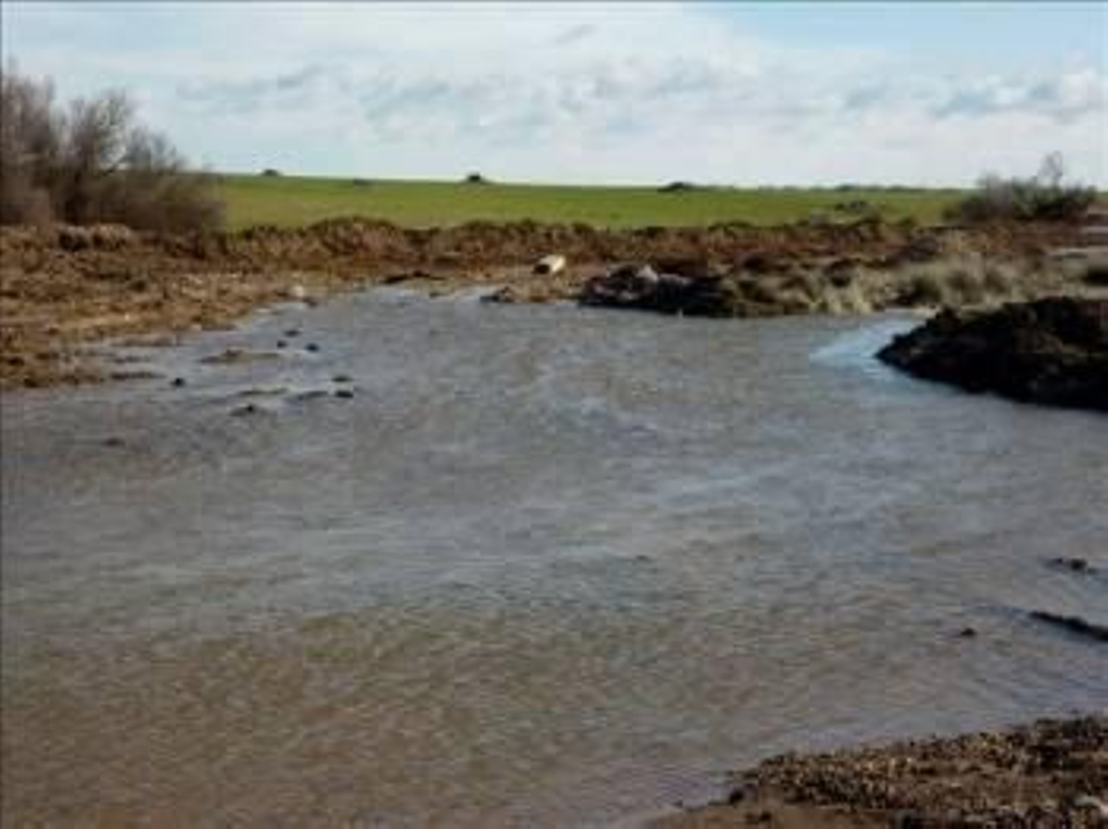 El agua procedente de la derivación de la tubería de abastecimiento a la Llanura Manchega ha comenzado a anegar hoy el Parque Nacional de Las Tablas de Daimiel. (Foto: Aníbal de la Beldad)